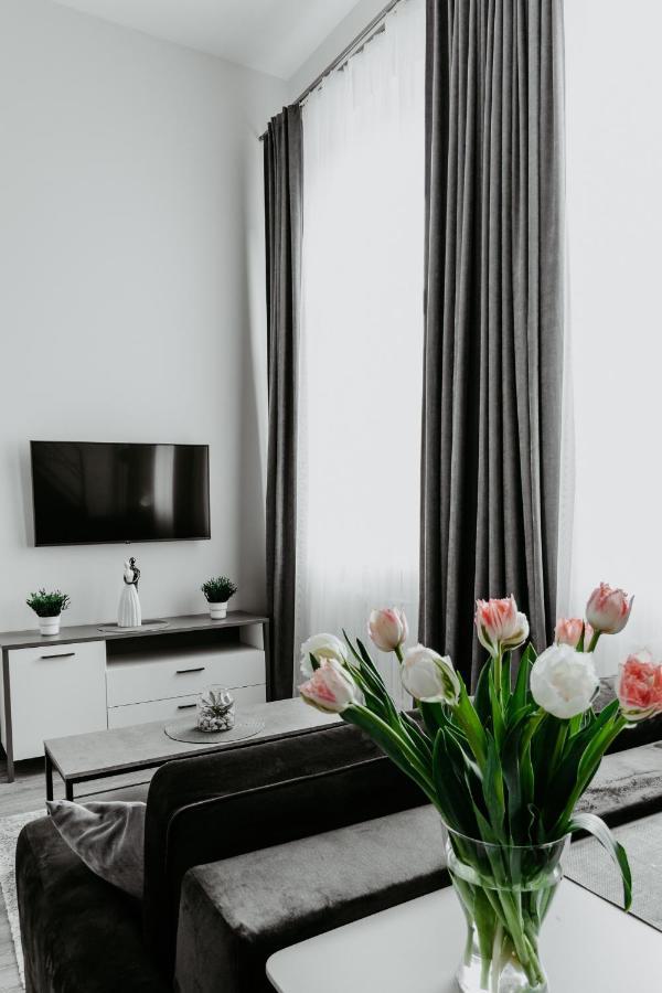 Familia Apartments Βίλνιους Εξωτερικό φωτογραφία